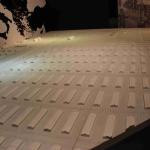 DSC_0089_00079 (June 24, 2023)